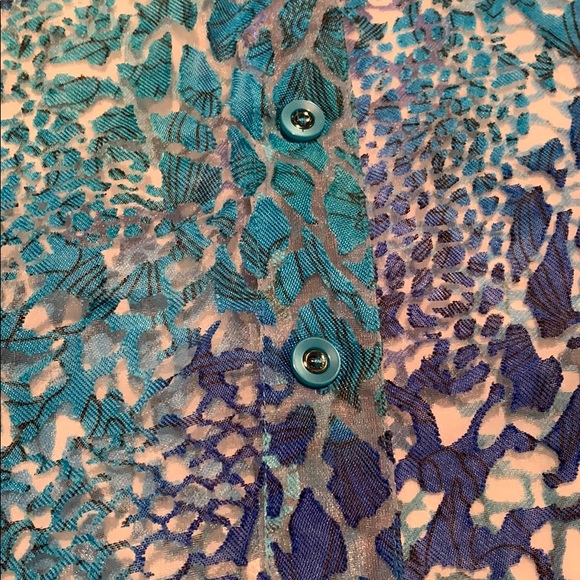 Blouse pretty sheer - Picture 2 of 7